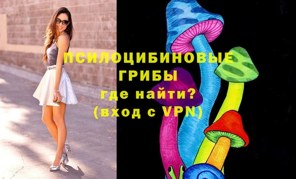 кокс Медвежьегорск