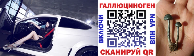 купить наркотики сайты  Билибино  Галлюциногенные грибы Cubensis 